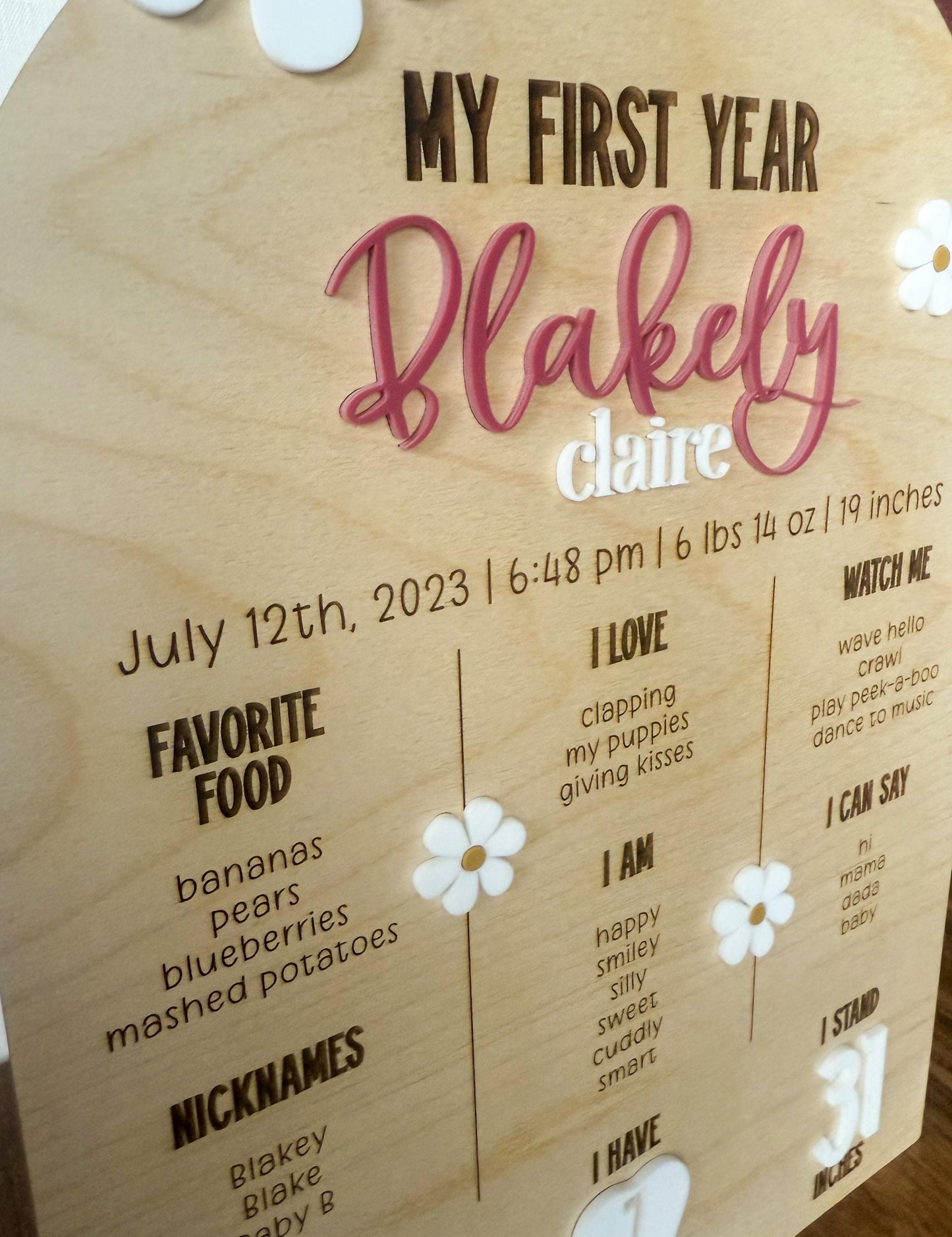 Personalized Floral Milestone Birthday Board | Daisy First Year Birthday Plaque | Baby's First Birthday Party | Arched Birthday Board