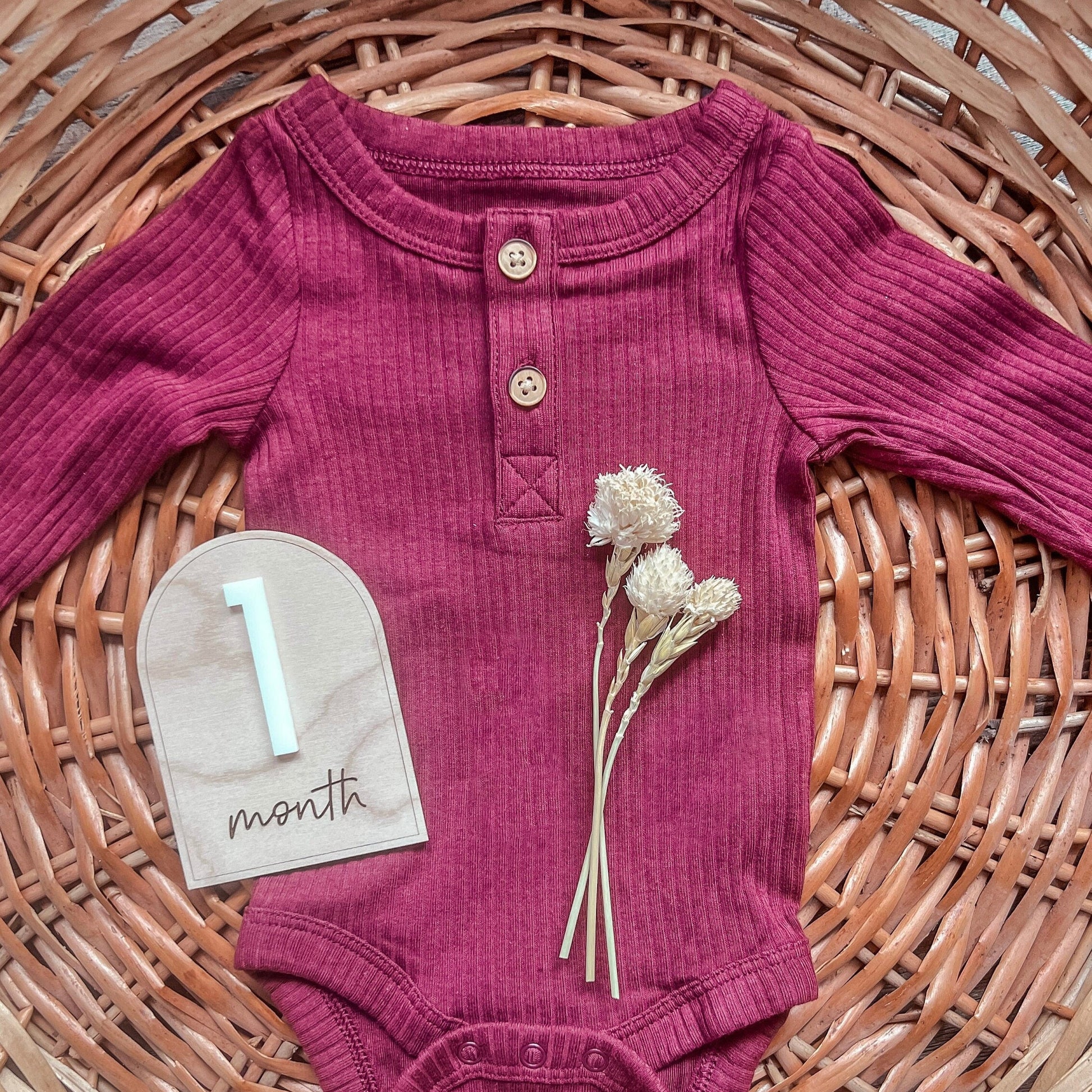 Arched Baby Milestones Markers