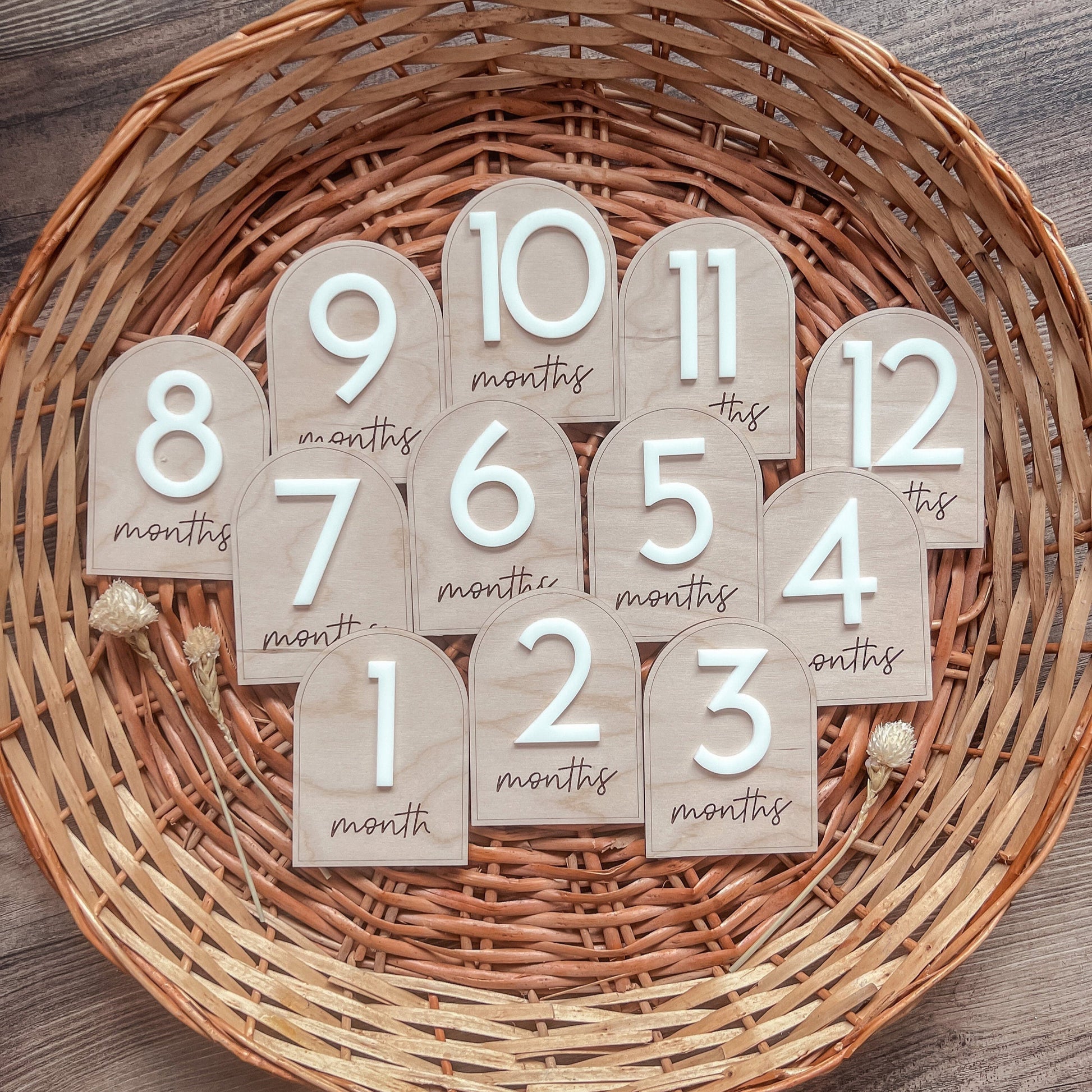 Arched Baby Milestones Markers